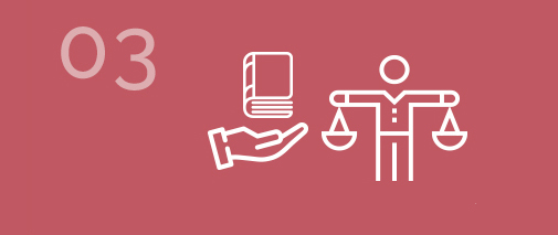 Detention orders, investigations and restraining orders